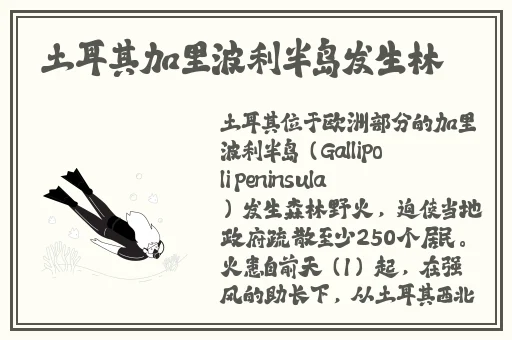 海角妈妈封神蘑菇视频点击直接进入